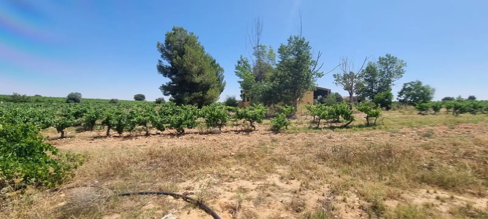 Casa rústica en venda a Villarrobledo, imagen 49