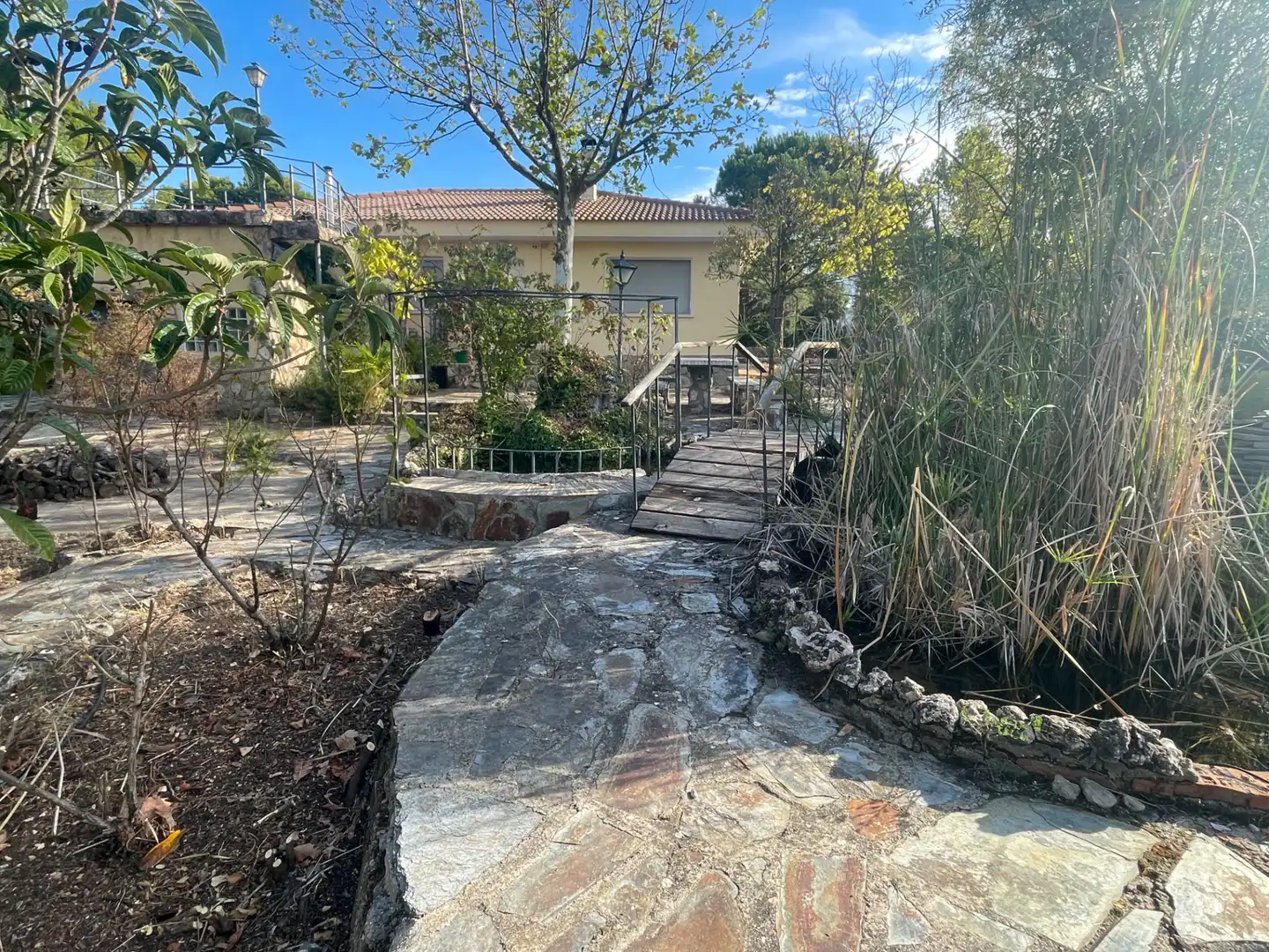 Vista exterior de Casa o chalet en venta en Albalate de Zorita con Calefacción, Jardín privado y Terraza