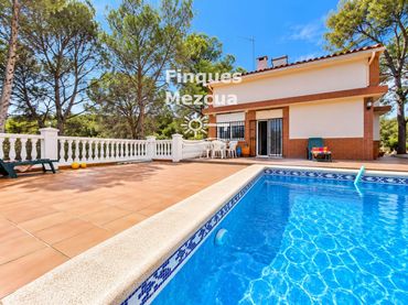 Chalet con piscina en venta en VIOLETA
