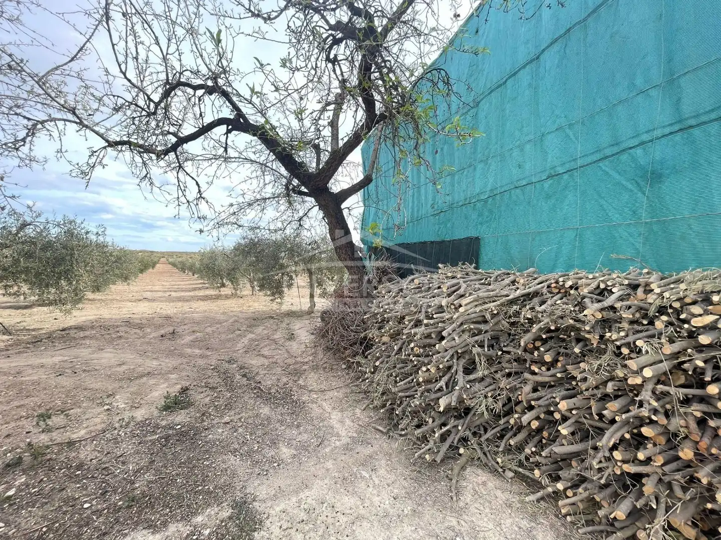 Terreno en venta en Uleila del Campo