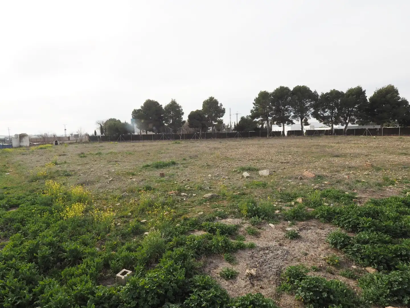 Terreny residencial en venda a Argamasilla de Alba, imagen 2