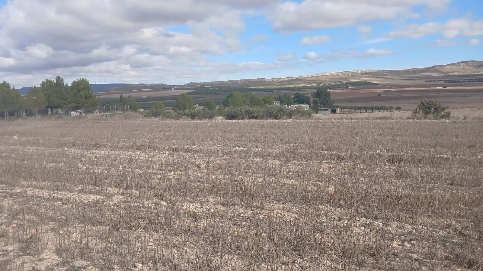 Residential land for sale in Yecla, imagen 18
