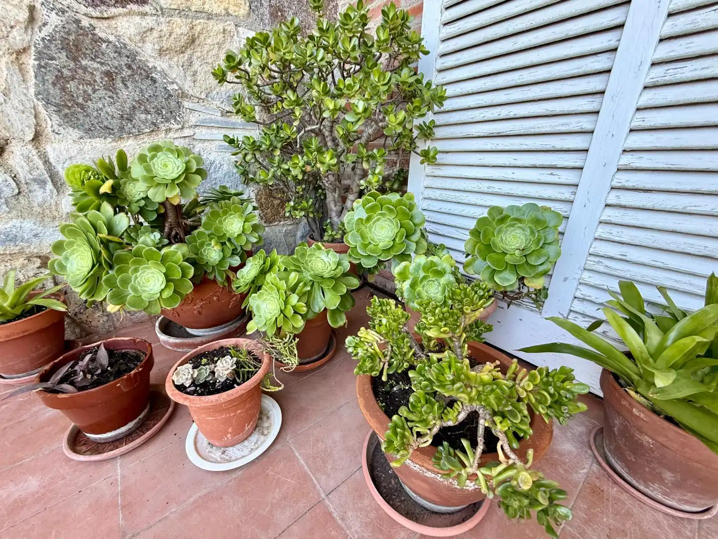 Terraza de Finca rústica en venta en Castell d'Aro, Platja d'Aro i s'Agaró con Aire acondicionado, Calefacción y Jardín privado