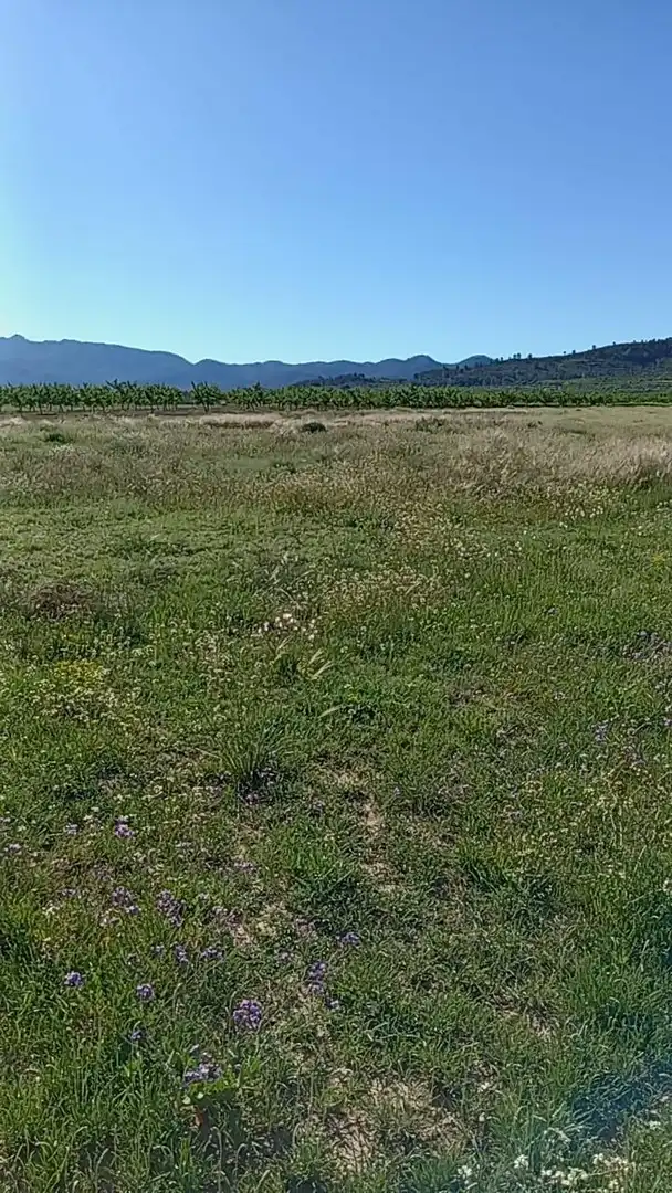 Lands and plots for sale in Ricote, imagen 2
