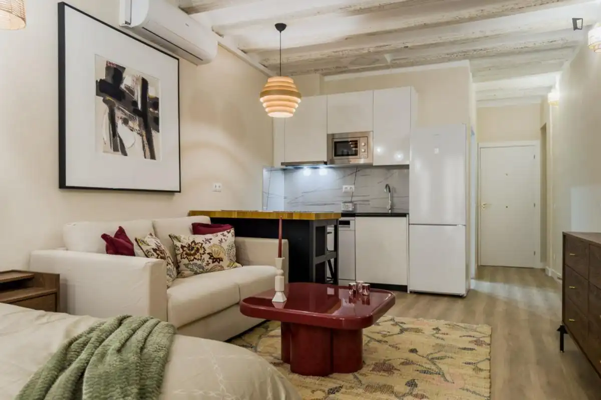 Wohnzimmer von Wohnung zur Miete in Barcelona mit Klimaanlage, Möbliert und Ofen
