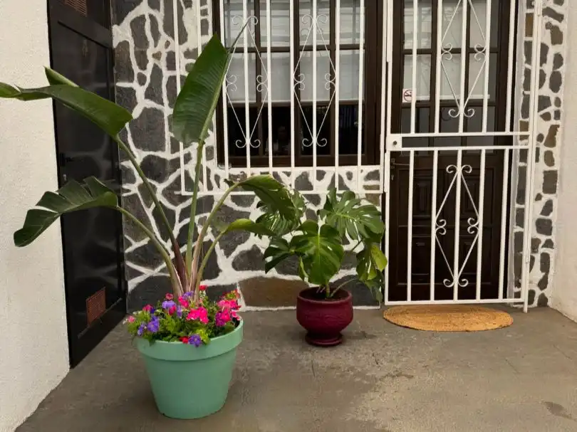 Flat for sale in El Paso, Santa Cruz de Tenerife
