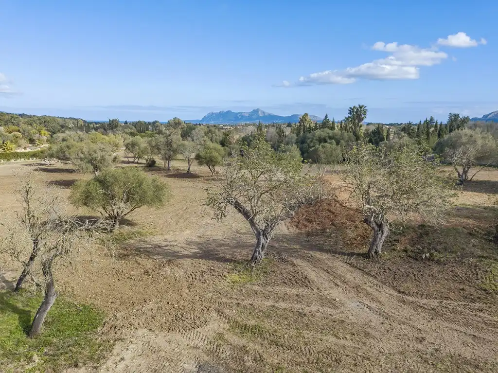 Land for sale in Pollença