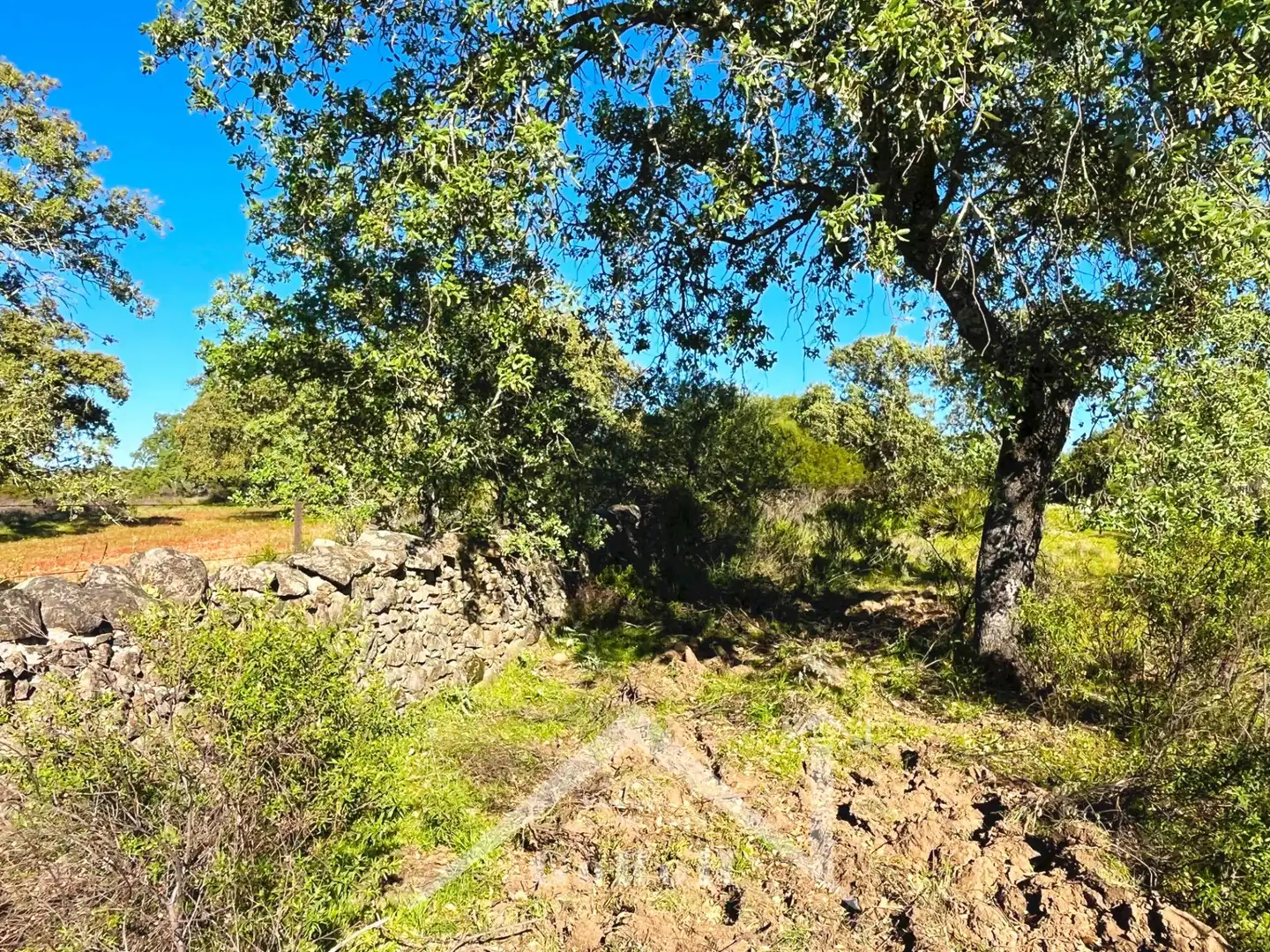 Terreni e lotti in vendita a Castilblanco de los Arroyos, imagen 28