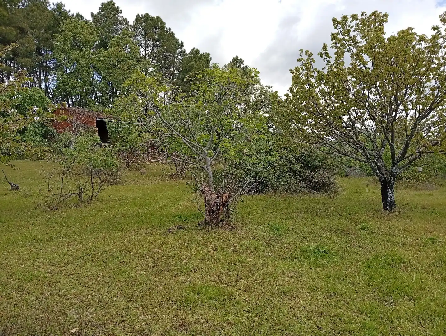 Terreni e lotti in vendita a Villanueva de la Vera, imagen 60