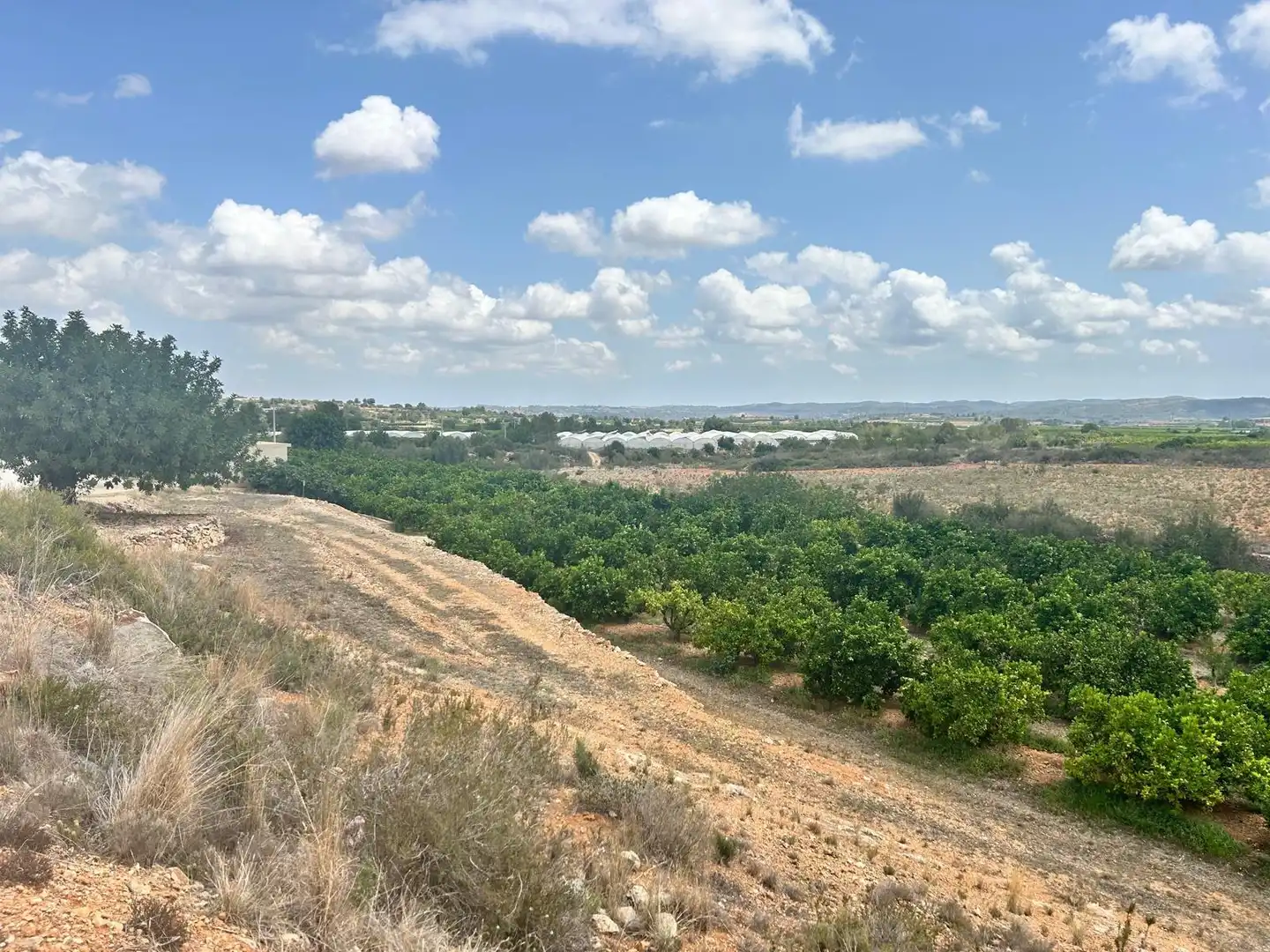 Residencial en venda en Montroi / Montroy