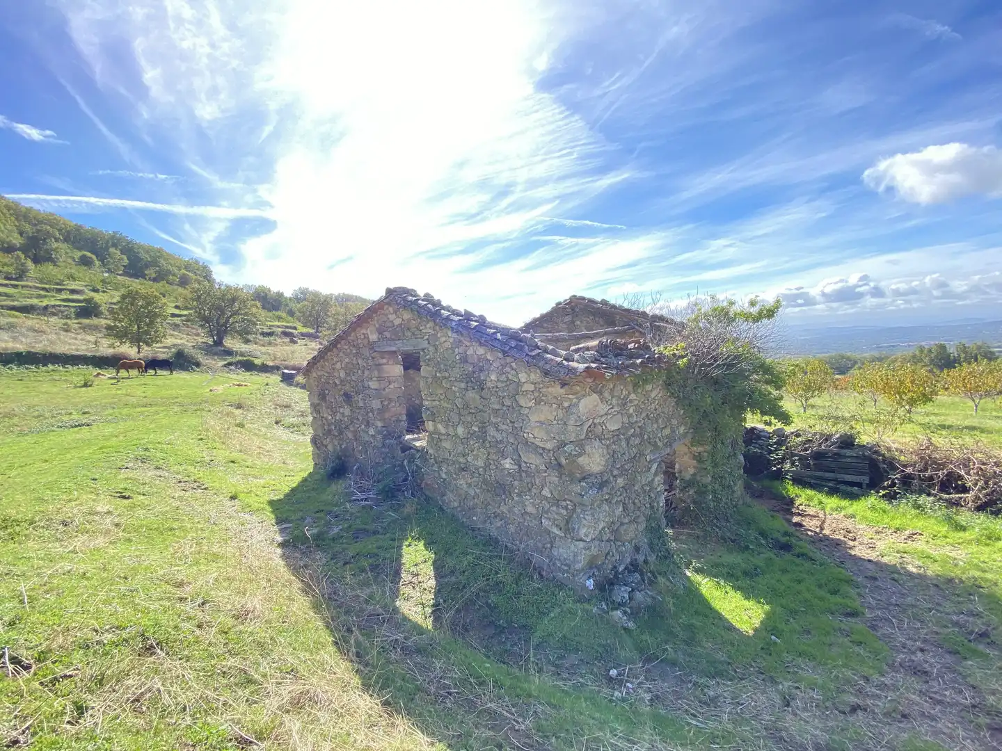 Terreni e lotti in vendita a Barrado, imagen 18