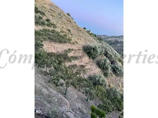 Terreni e lotti in vendita a Frigiliana