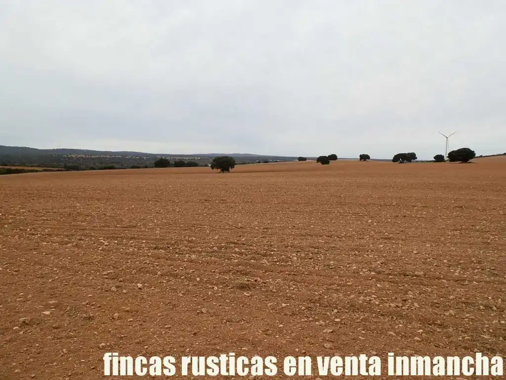 Terreny rústic en venda a Calle Albacete 10, imagen 2