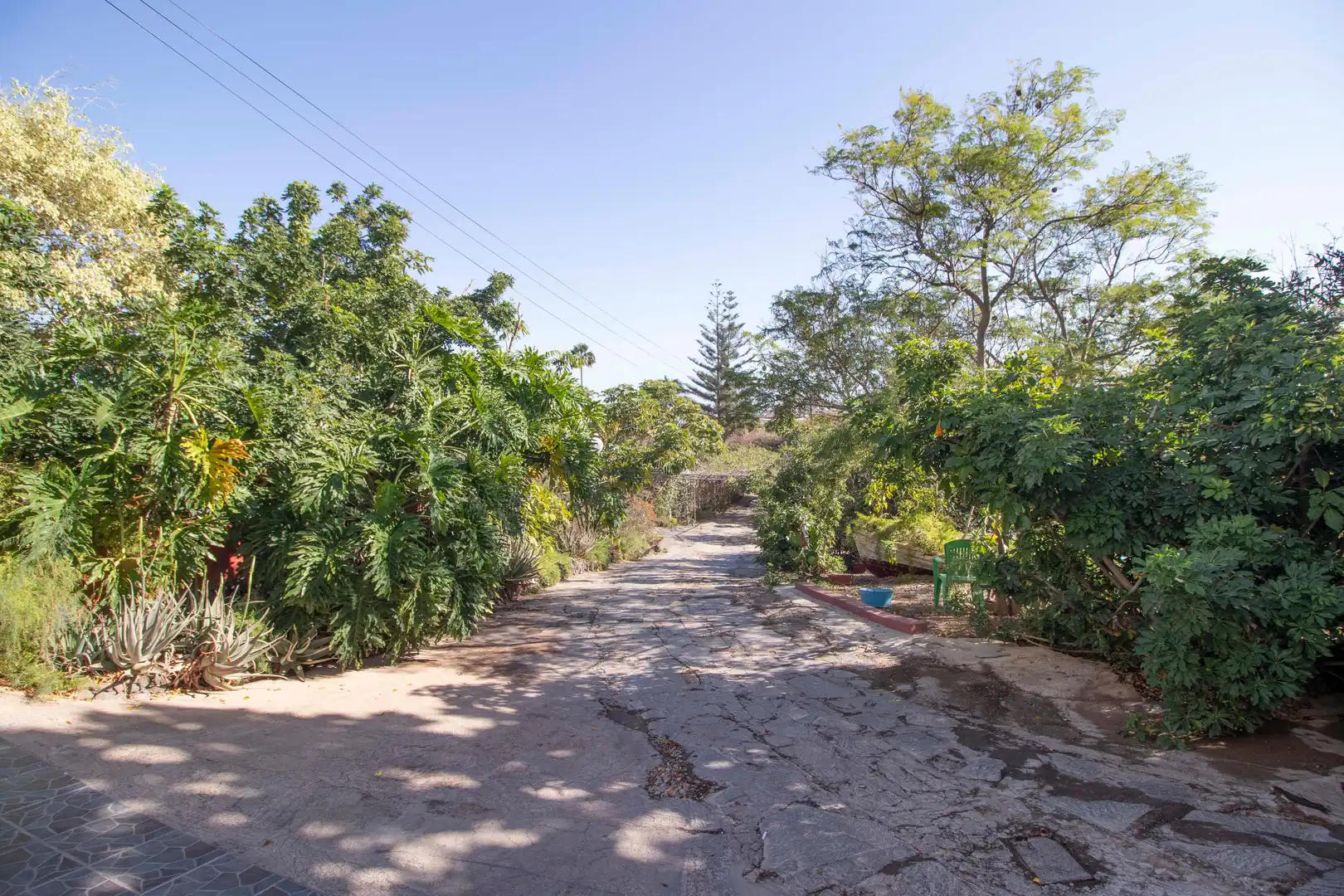Exterior view of Houses for sale in San Miguel de Abona