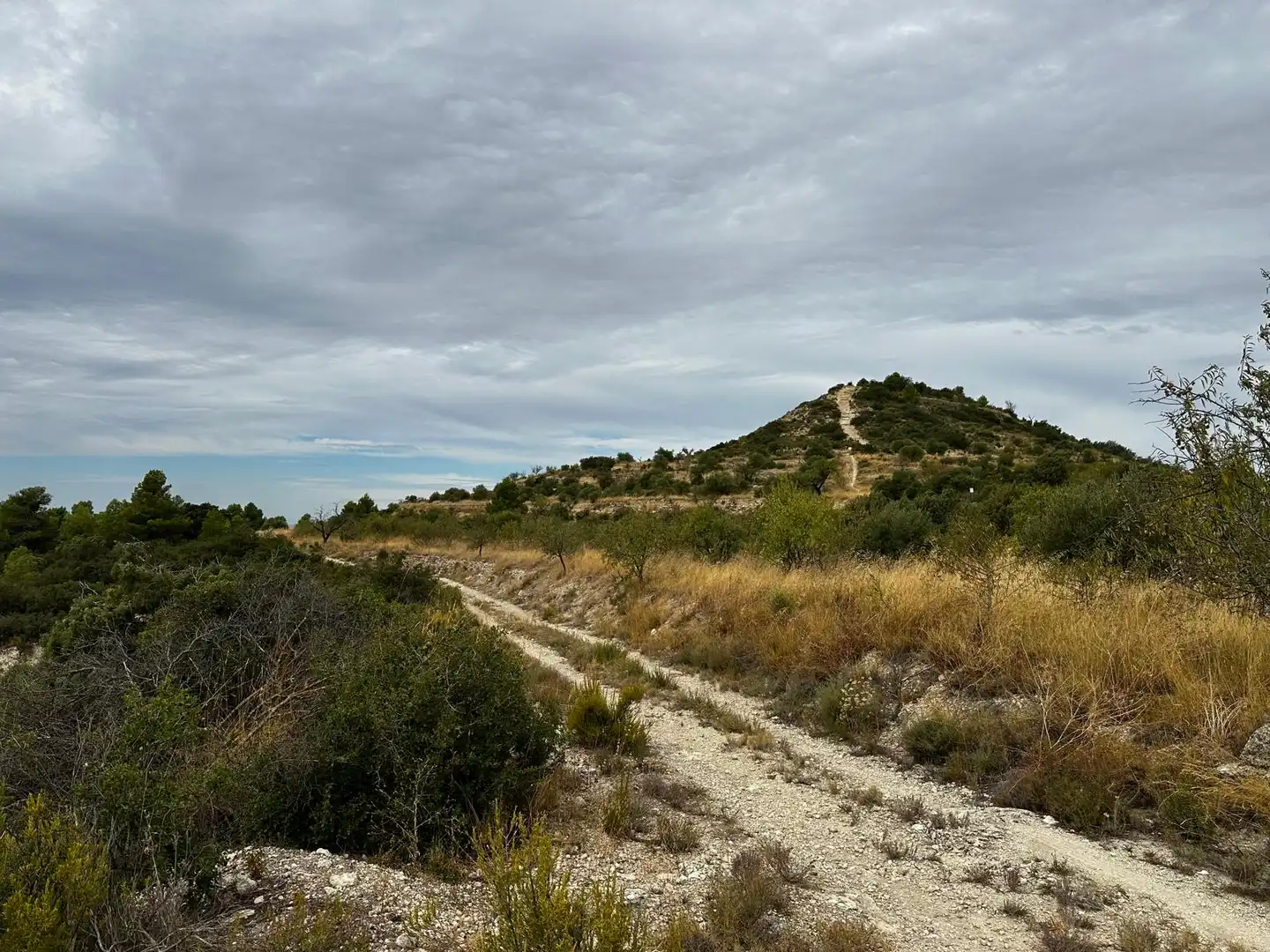 Terreny rústic en venda a Cervià de Les Garrigues, imagen 16