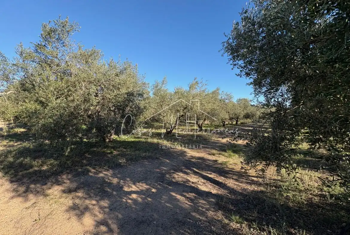 Country house for sale in Vinyols i els Arcs, imagen 6