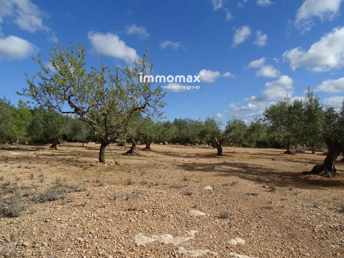 Terrain rustique à vendre à 14, imagen 19