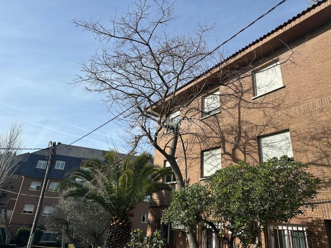 Vista exterior de Pis en venda en Las Rozas de Madrid amb Terrassa