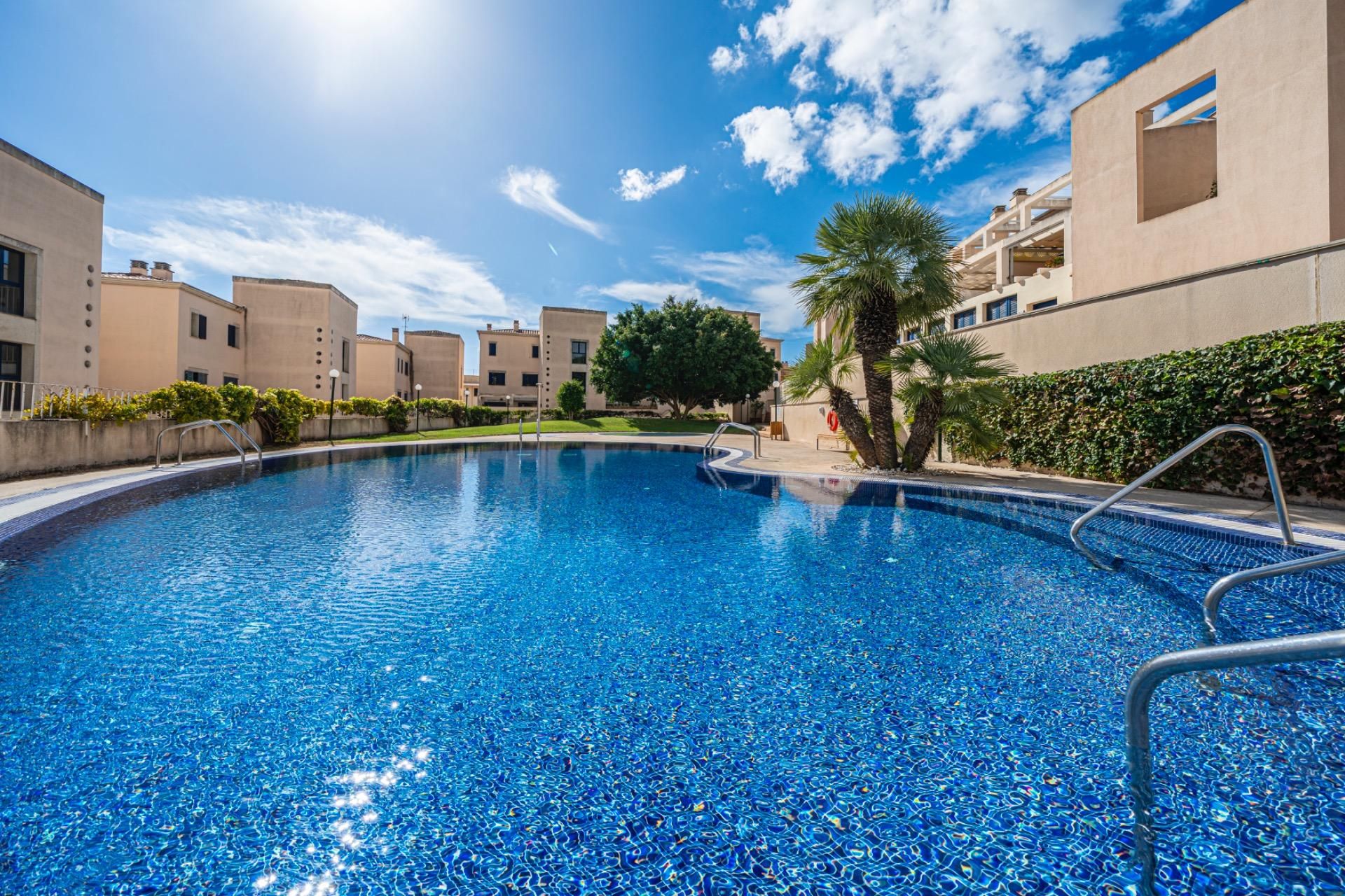 Swimming pool of Apartment for sale in Andratx  with Terrace and Community pool