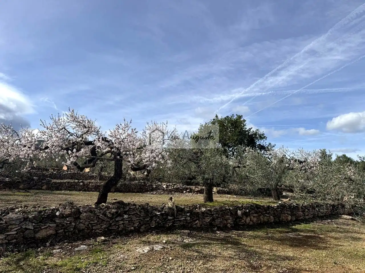 Finca rústica en venda en El Perelló