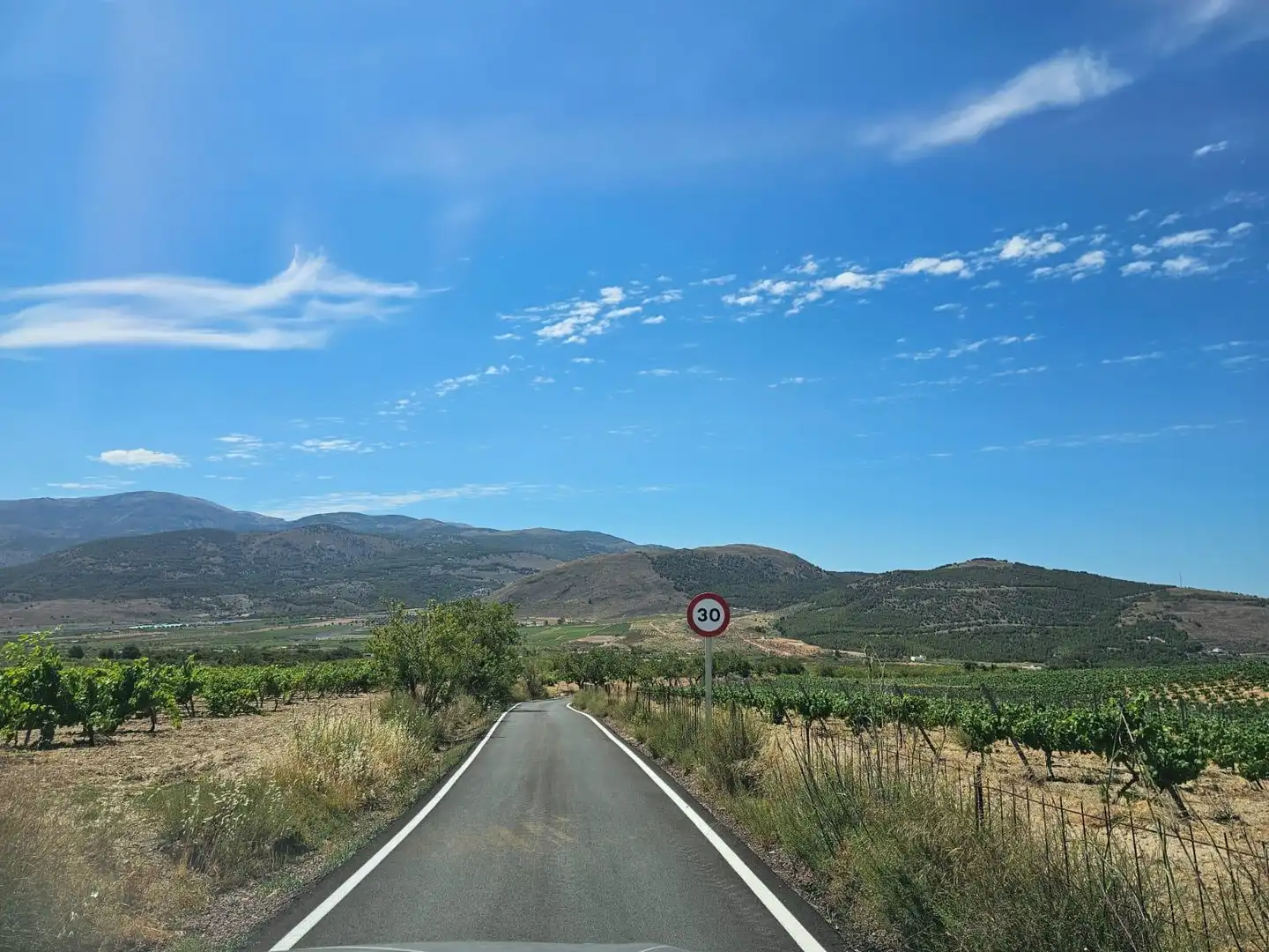 Vista exterior de Finca rústica en venta en Laujar de Andarax