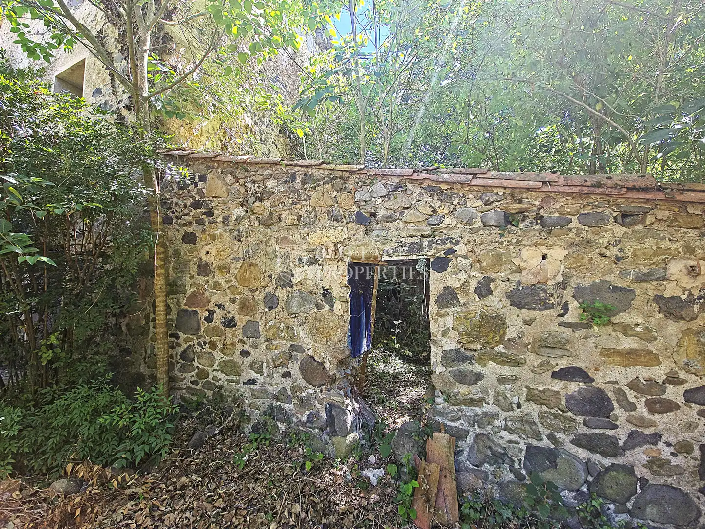 Casa rustica con giardino in vendita a Diseminat Afores, imagen 53