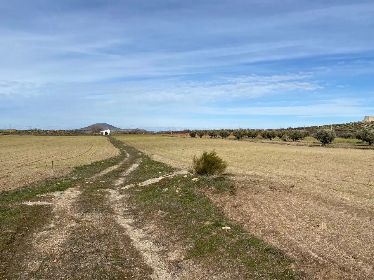 Terreno rustico in vendita a Sonseca, imagen 3