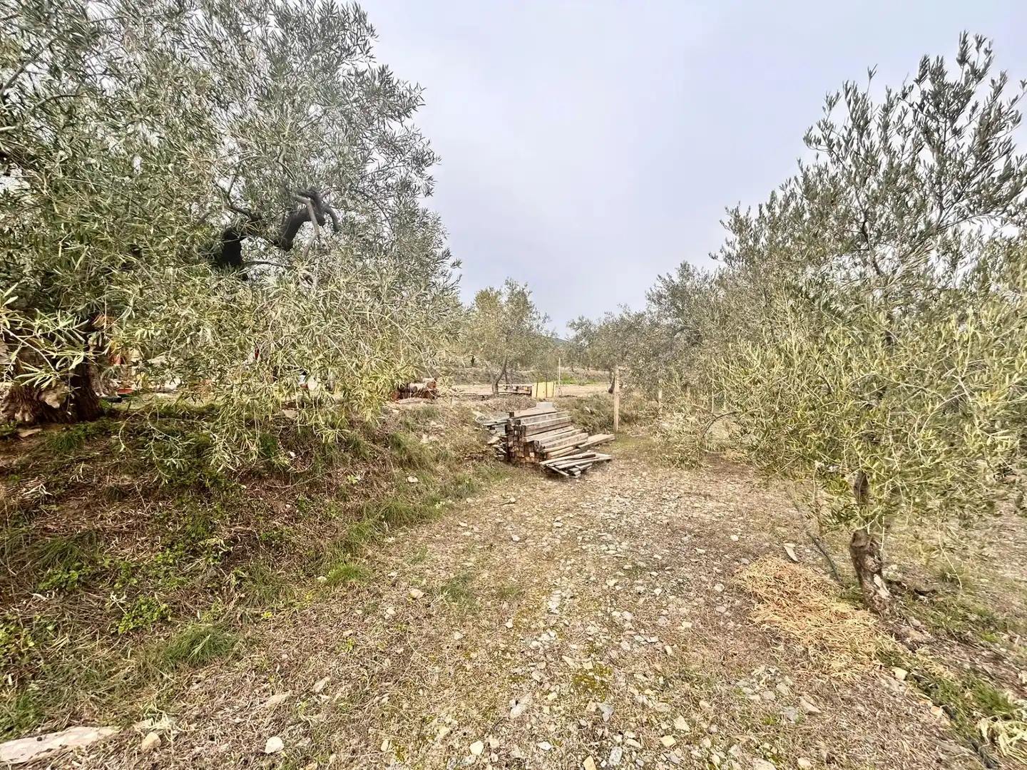 Finca rústica en venda en Abrucena