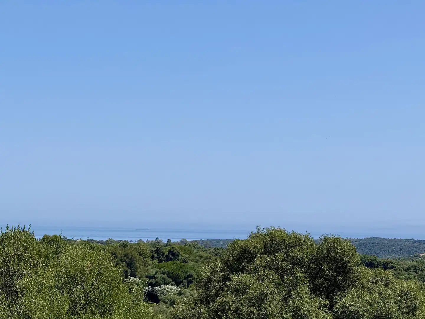 Terrenys i solars en venda a Sotogrande Alto, imagen 12