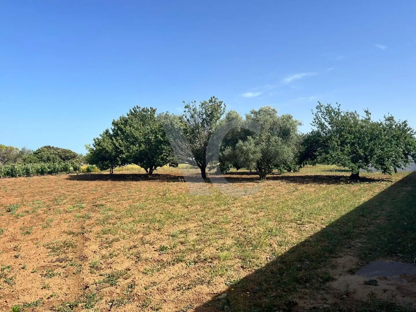 Residential zum Verkauf in Chiclana de la Frontera
