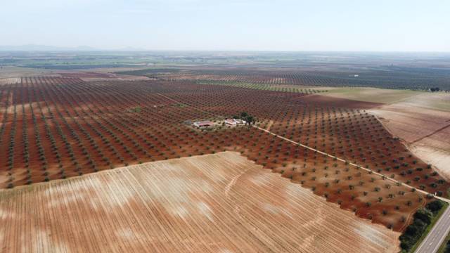 Terreno en Venta en Carretera carretera almendralejo badajoz en Solana de los Barros