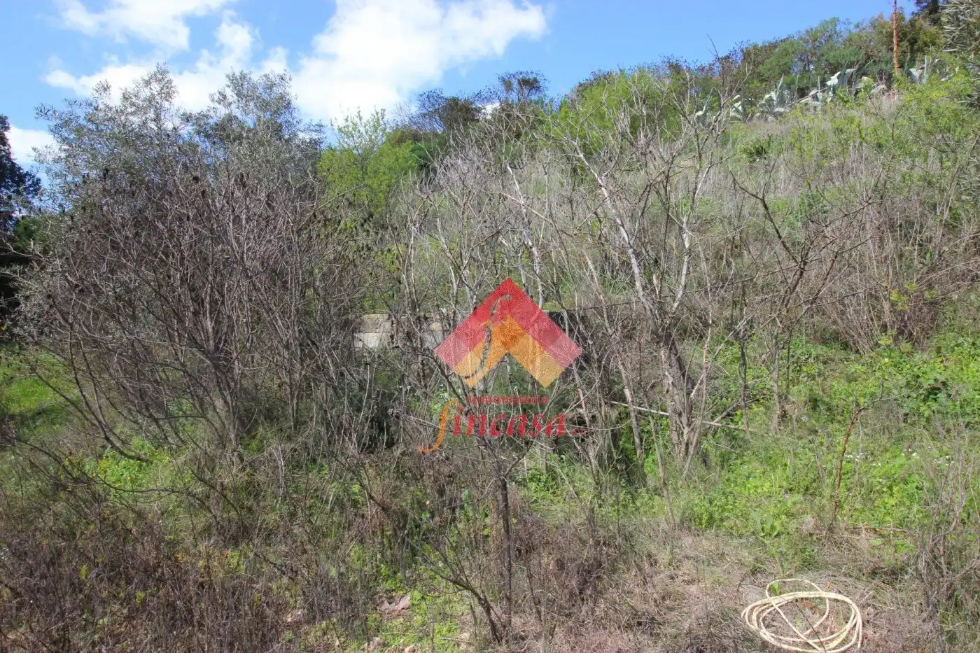 Casa rústica en venda a Casco Histórico, imagen 10