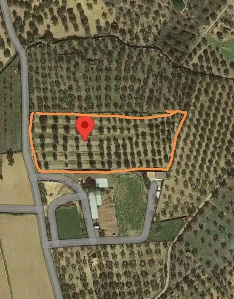 Terrenos y solares en venta en mas oliva, imagen 8