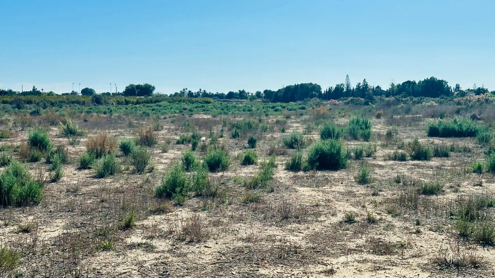 Residencial en venta en Elche / Elx