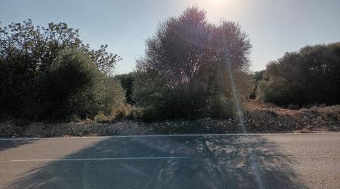 Photo 2 of Residential for sale in Gallipont Polígono 22 Parcela 8, -1, Gallipont, Valencia