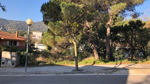 Terreno Can Valls, immagine 2