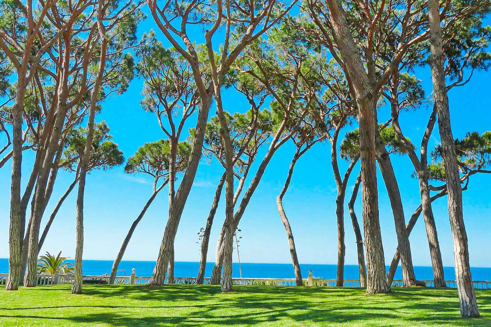 Apartments for sale in La Carolina - Guadalpín