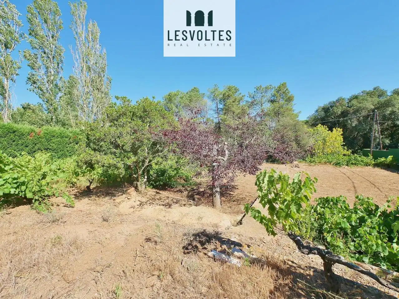 Casa o chalet en venta en Mont-ras con Jardín privado
