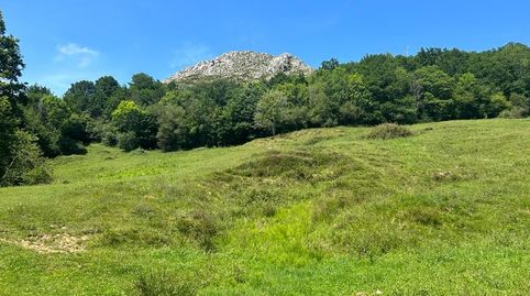 FINCA RÚSTICA CON CUADRA  CERCA DE ARRIONDAS