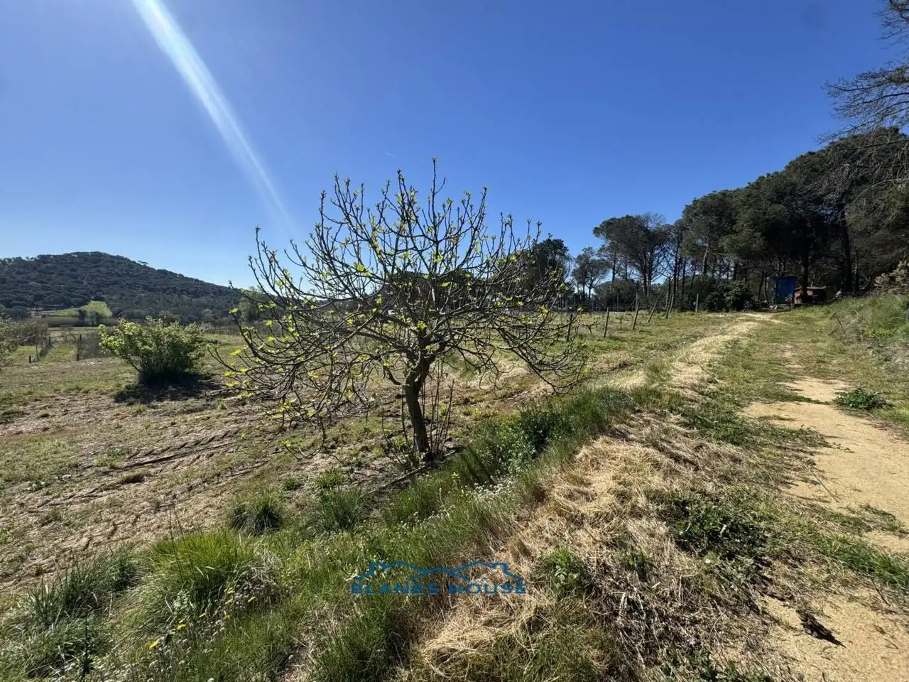Terreno rustico in vendita a Calle Bosch Rabasa 1, imagen 9