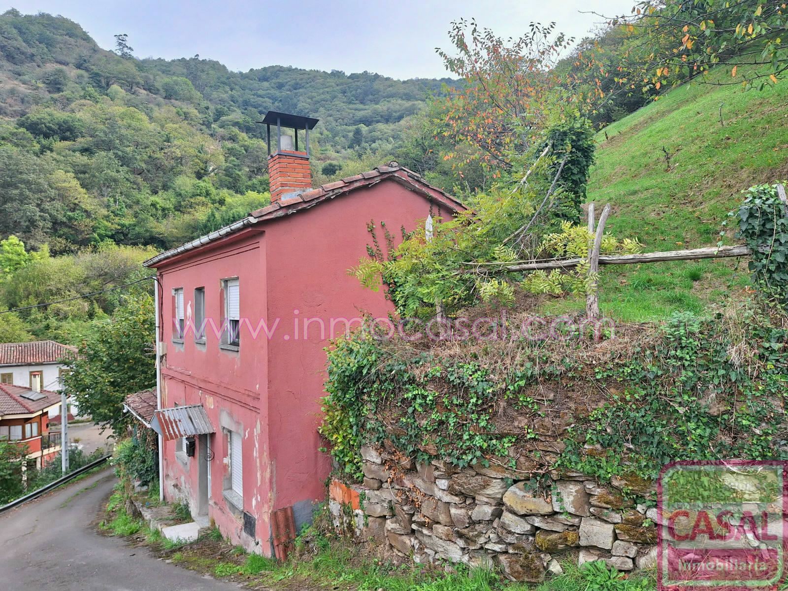 Vista exterior de Casa o xalet en venda en Mieres (Asturias) amb Traster i Moblat