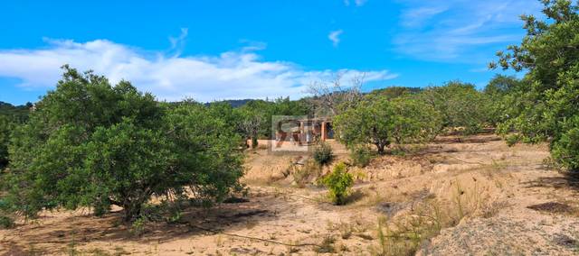 Terreno en Venta en Vial Camino, 174 en L'Aleixar