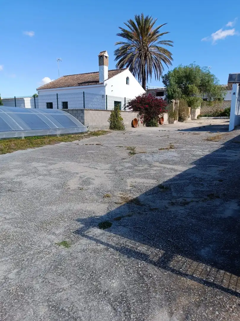 Vista exterior de Casa o chalet en venta en Puerto Real