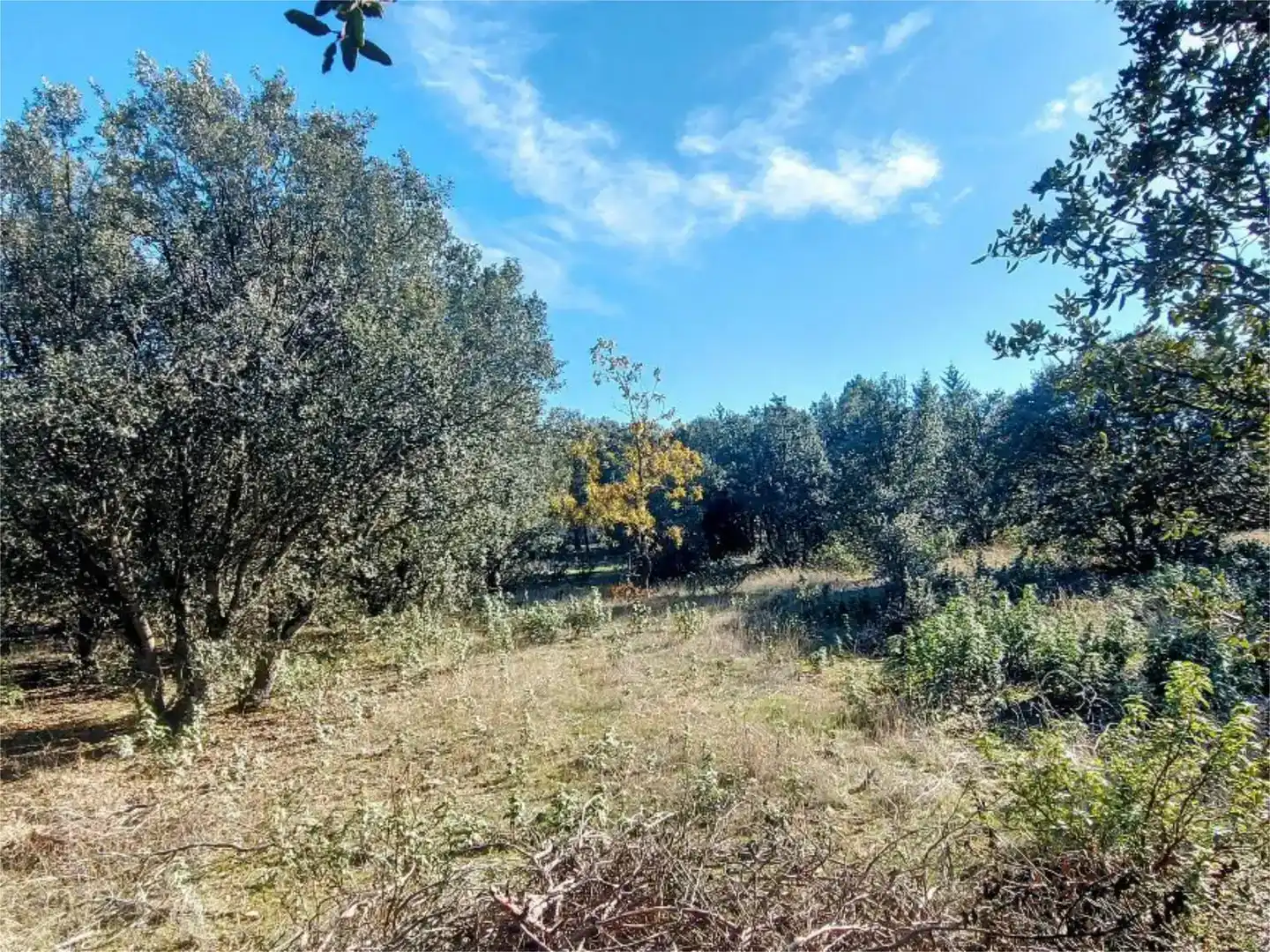 Residencial en venta en Fresno de Cantespino