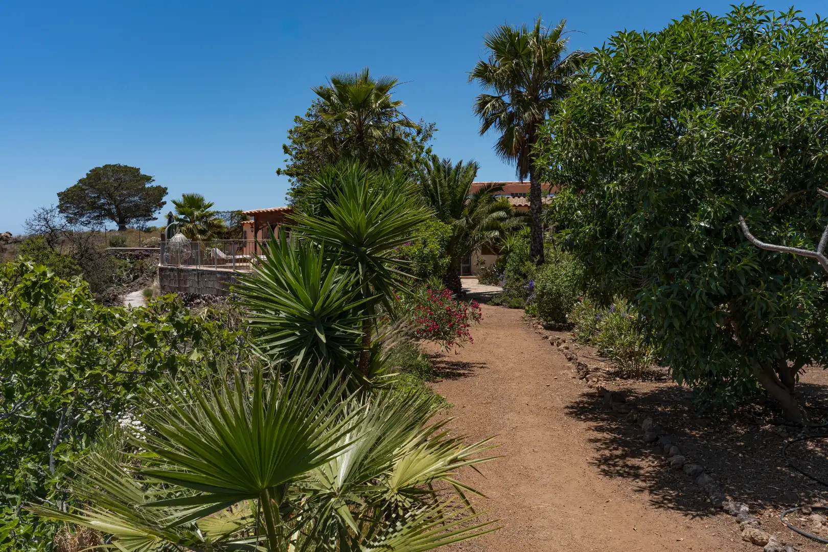 Casa con terraza en venta en Calle San Juan, imagen 14