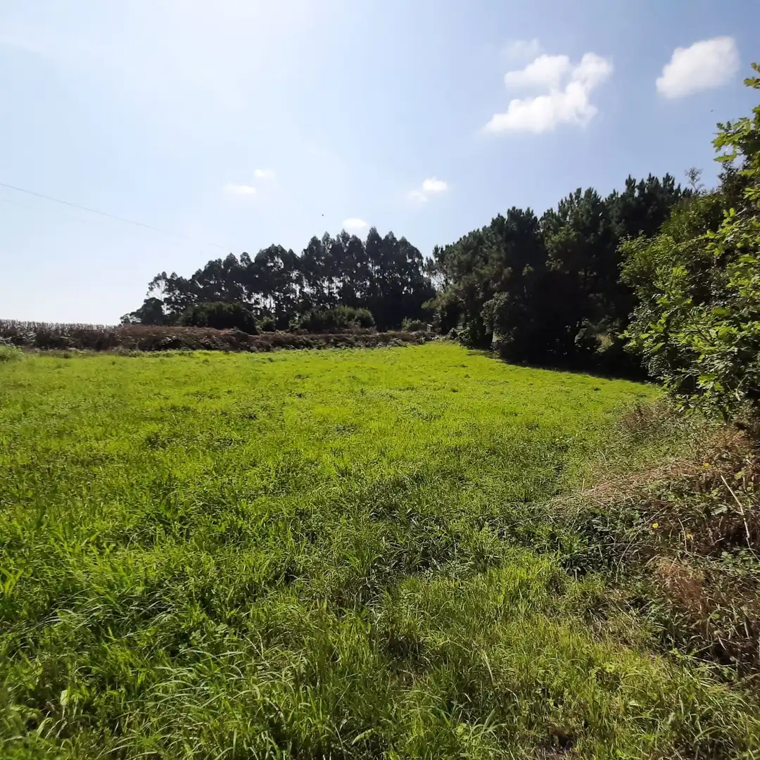 Detached house with garden for sale in LG VIVERO 1, imagen 31