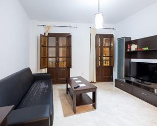 Living room of Flat for sale in  Granada Capital  with Parquet flooring and Storage room