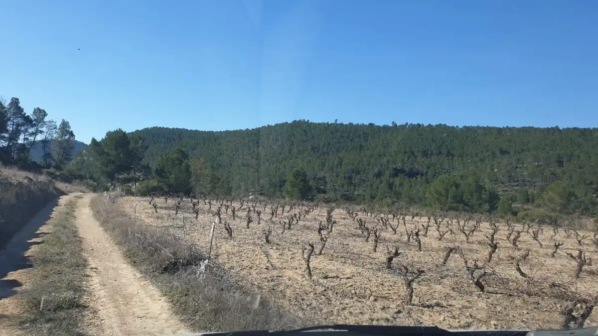 Terrain résidentiel à vendre à Requena, imagen 6