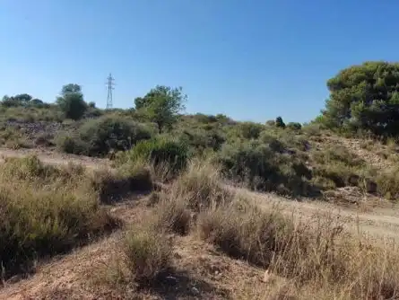 Terrain rustique à vendre à PT R-14, imagen 10