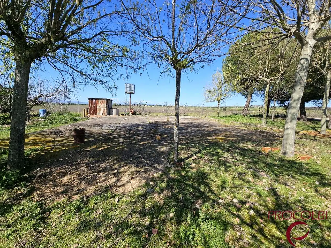Terreno en venta en Valdeolmos-Alalpardo